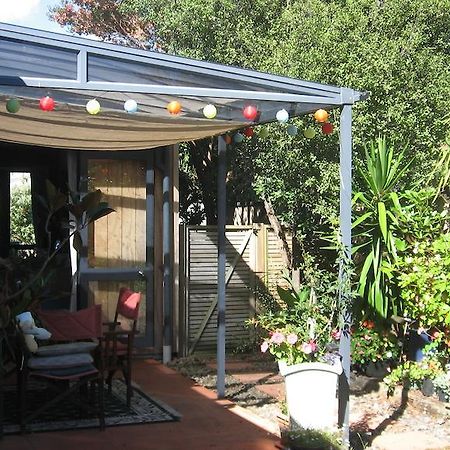Kotuku Bed & Breakfast ファンガマタ エクステリア 写真